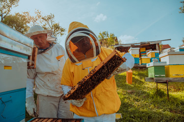 Similar image 21868126