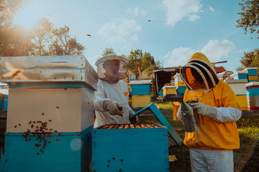 Similar image 21870090