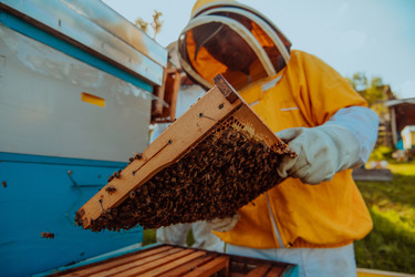 Similar image 21870397