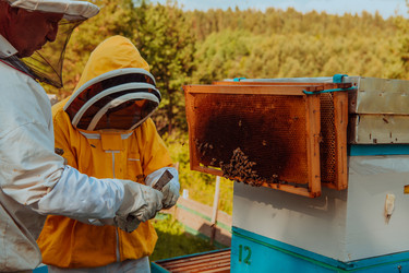 Similar image 21870798