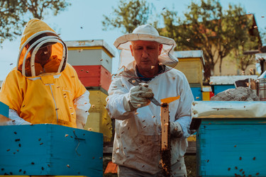 Similar image 21870903