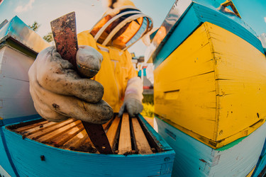 Similar image 21871018