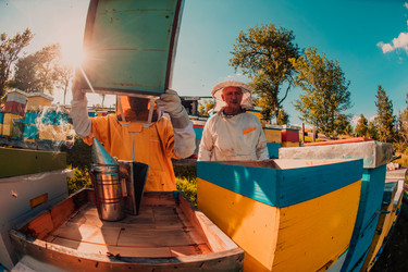 Similar image 21871390