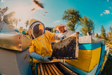 Similar image 21867945