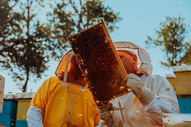 Similar image 21871579