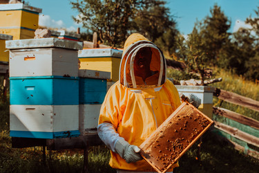 Similar image 21870130