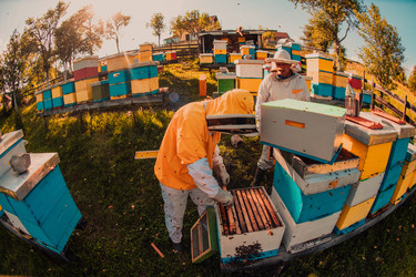 Similar image 21870643