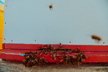 Similar image 21870647