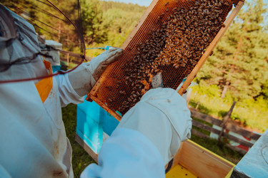 Similar image 21871393