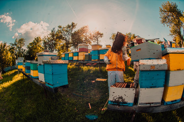 Similar image 21857849