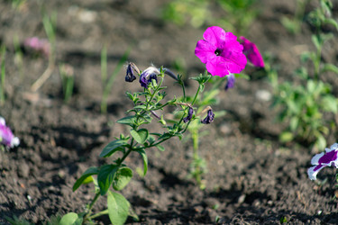 Similar image 21867349