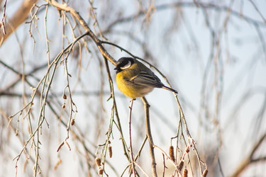 Similar image 21868343