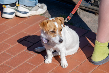 Similar image 21857322