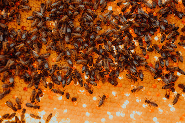 Similar image 21857863