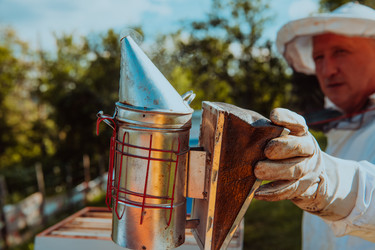 Similar image 21871623