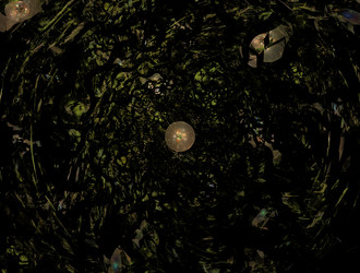 Similar image 21876165