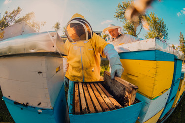 Similar image 21867803