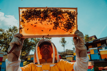 Similar image 21868201