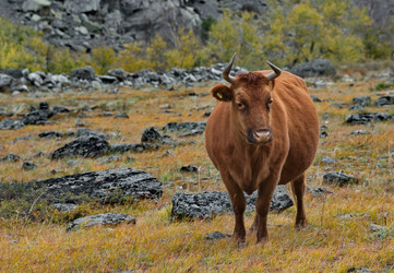 Similar image 21865394