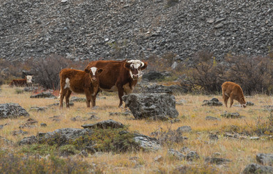 Similar image 21865418