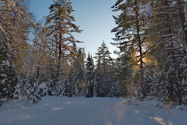 Similar image 21865419