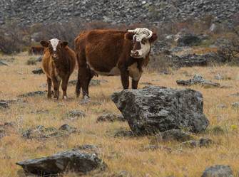 Similar image 21865420