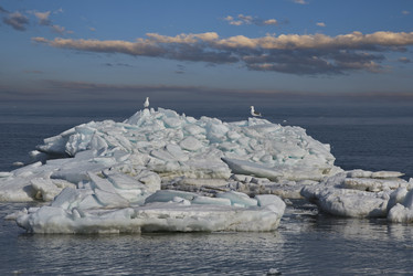 Similar image 21865422