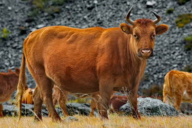 Similar image 21865423