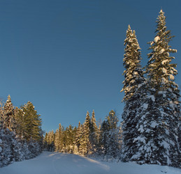 Similar image 21865426