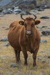 Similar image 21865427