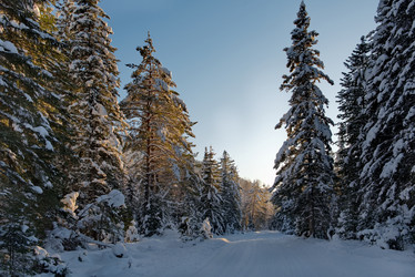 Similar image 21865435