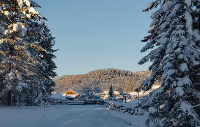 Similar image 21865436