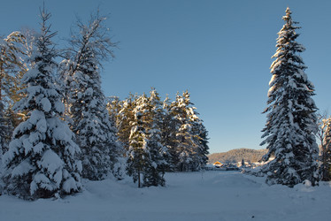 Similar image 21865437