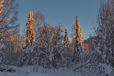 Similar image 21865439