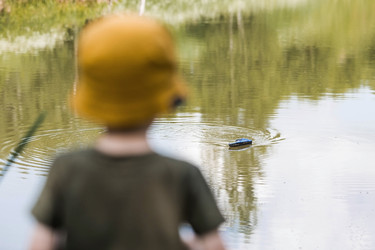 Similar image 21858005