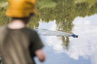 Similar image 21858007