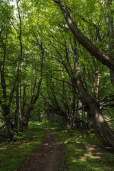 Similar image 21865599