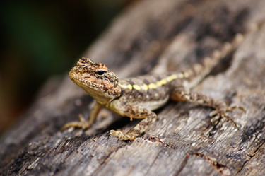 Similar image 21857561