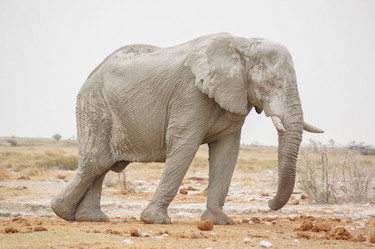 Similar image 21857562