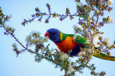 Similar image 21857563