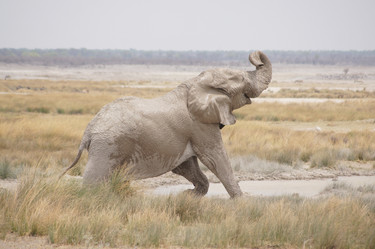 Similar image 21857564