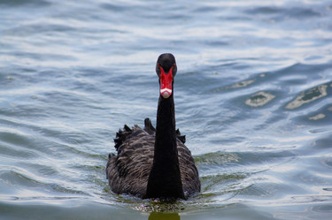 Similar image 21857608