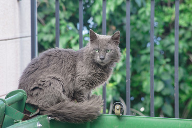 Similar image 21857609