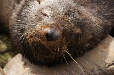 Similar image 21857612