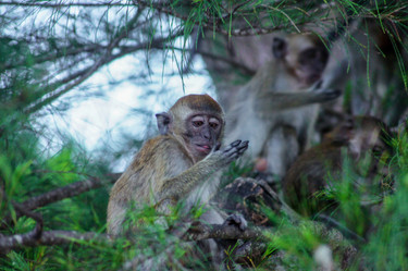 Similar image 21857613