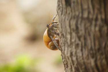 Similar image 21857614