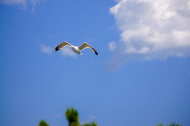 Similar image 21857615