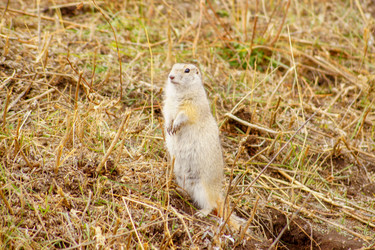 Similar image 21857616