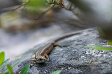 Similar image 21857617