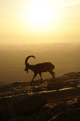 Similar image 21857619